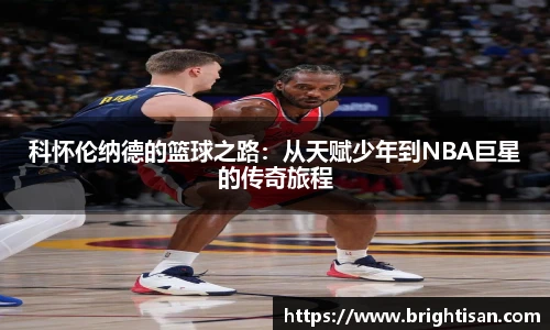 Vsport体育官网版