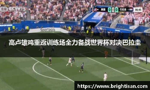 Vsport体育最新地址